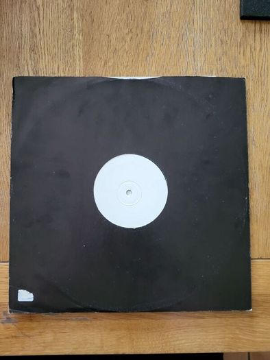 Echobelly I Cant Imagine A World Without Me 12 inch vinyl promo