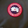 Canada Goose Gilet (Large Man's,) Image 2