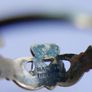 Vintage Sterling Silver 925 Irish Claddagh Rings size L1/2 - 1,5g Image 6