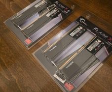 G.skill Flare X5 64gb Ddr5 6000mhz Cl32 Ram (4x16gb)  Amd Expo