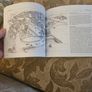 A Burren Journal.  By Sarah Poyntz. Illustrated By Gordon D'arcy & Anne Corff. Large Volume Paperback In Good Condition.  See Photos For Same. Image 10