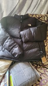 The northe face men's coat