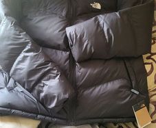 The northe face men's coat