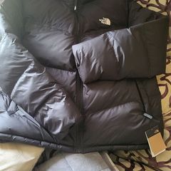 The northe face men's coat