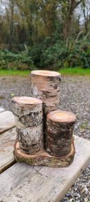 Birch Wood Log Candle Holder  Tealight Stand