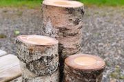 Birch Wood Log Candle Holder  Tealight Stand