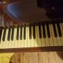 Vintage Rosebuck Upright Piano Image 8