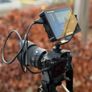 Sony Alpha 7 III + Sigma 24mm F1.4 Image 7