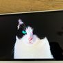Honor Pad 10 tablet + Smart Keyboard case Image 8