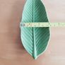 Leaf trinket dish Image 6