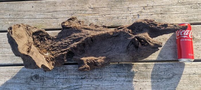 bog oak