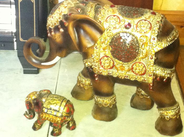 Elephants