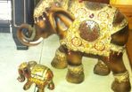 Elephants