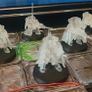 Stealth Scouts / Snipers Image 5