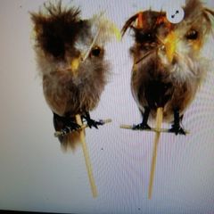 artifical  owls 6 pack