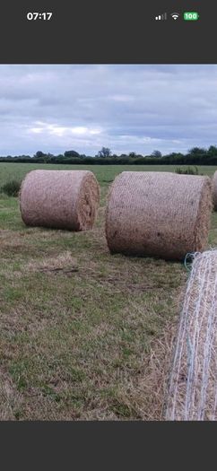 Round Bales of Hay and Silage for Sale