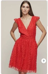 Designer REISS Abrianna lace dress