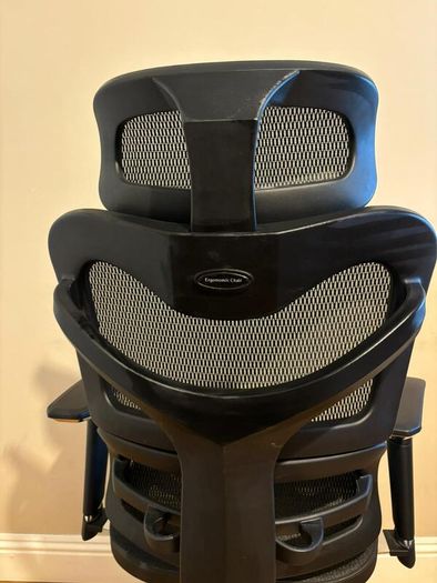 Dorsum Executive Ergonomic Mesh Office Chair (negotiable)