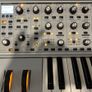 Moog Subsequent 37 CV limited edition Image 2