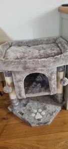 cat tree