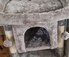 cat tree