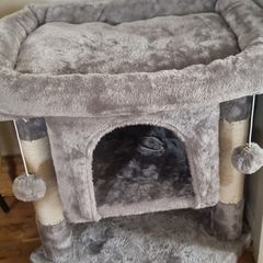 cat tree