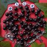 Gifts for all occasions Image 7