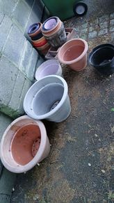 Garden pots
