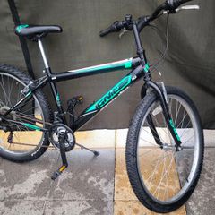 Bike 26'