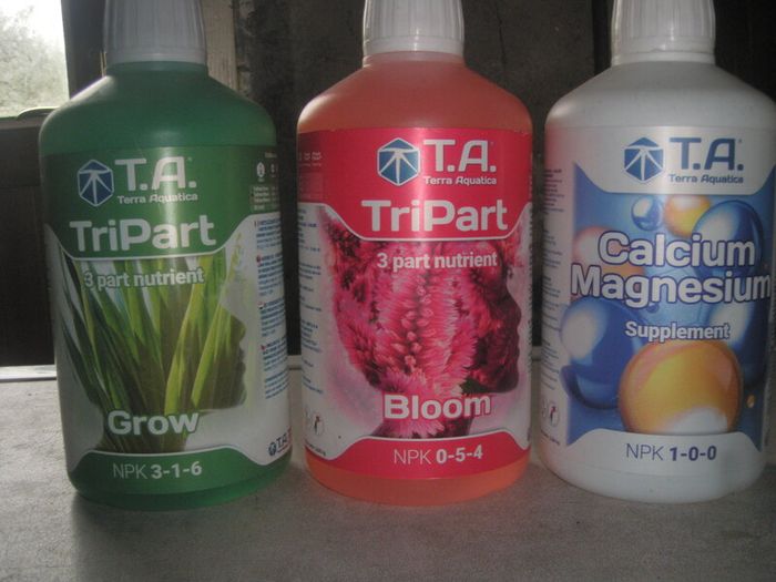 Grow Tent + Aquaponics