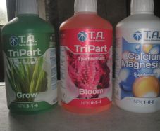 Grow Tent + Aquaponics