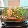 Fluval 23L fish tank Image 2