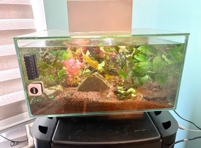 Fluval Edge 23L Fish tank