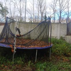 free trampoline