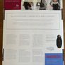 Babybjorn Baby Carrier Active Image 2