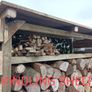 Log stores for sale Image 4