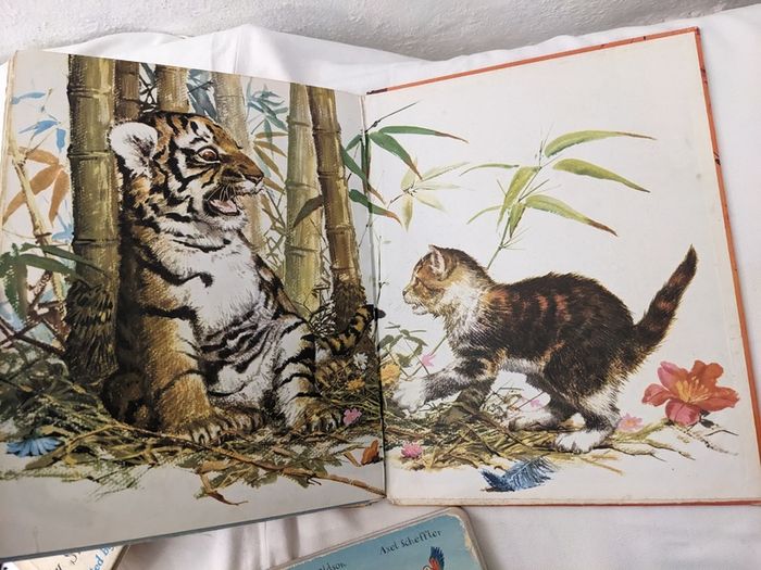 Beautiful Lot of Vintage Children books
