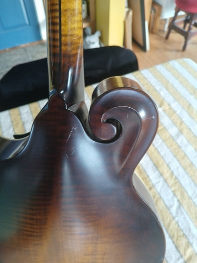 Coostar F5 Mandolin