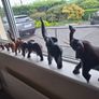 Wooden Figures Image 2