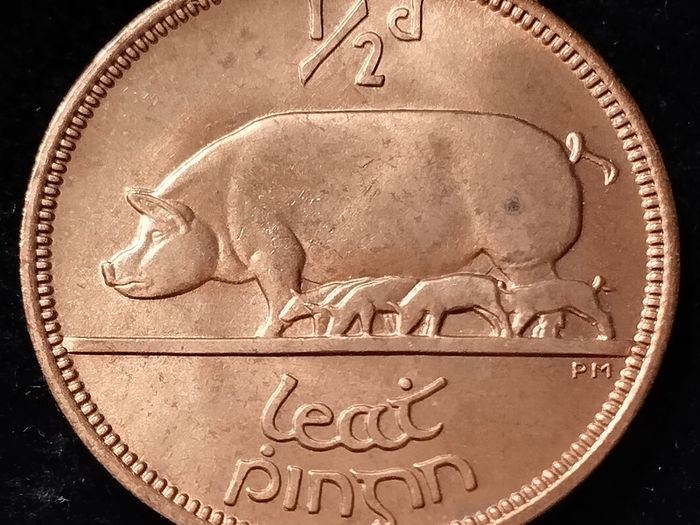 Ireland - 1964 - Half Penny - UNC - KM.10 - [118..]