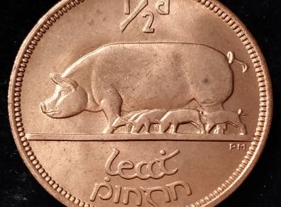 Ireland - 1964 - Half Penny - UNC - KM.10 - [118..]