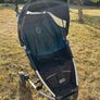 Buggy Image 2