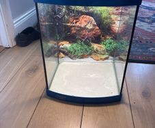 fish tank