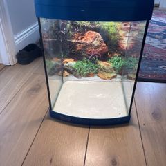 fish tank