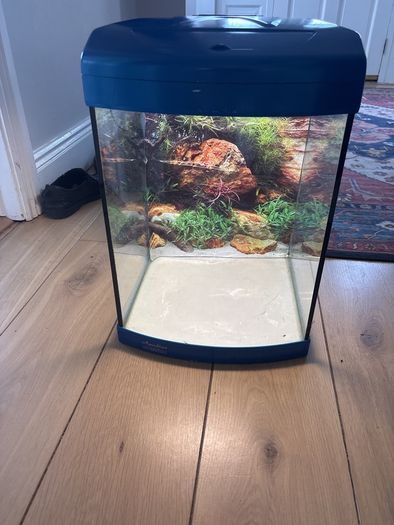 fish tank