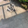 Golf Pull Trolley Image 2
