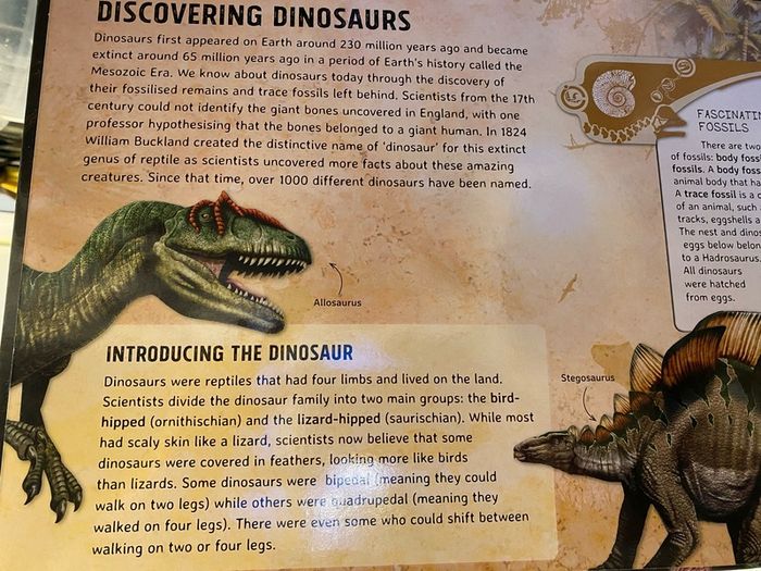 Dinosaurs - Jigsaw book