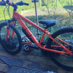 Carrera kids bike 24