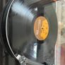 Gruff Rhys (Super Furry Animals) - Yr Atal Genhedlaeth (Limited Edition) Image 4