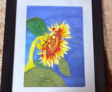 Watercolour - Sunflower (paint 43/31cm frame 61/51cm)